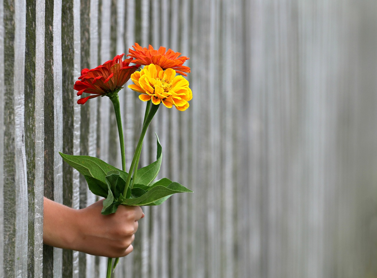 hand, gift, beautiful flowers-1549399.jpg